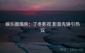 娱乐圈塌房：丁冬影视 影音先锋引热议
