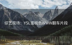 综艺现场：YSL蜜桃色WWW翻车片段
